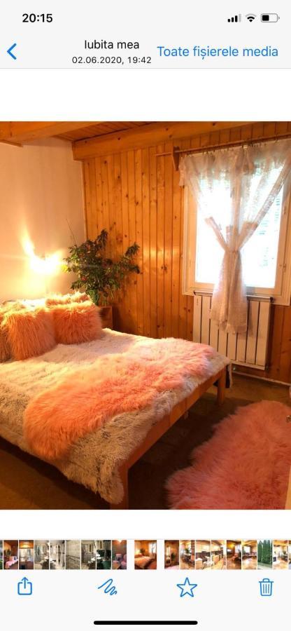 Ibis Otel Sovata Dış mekan fotoğraf